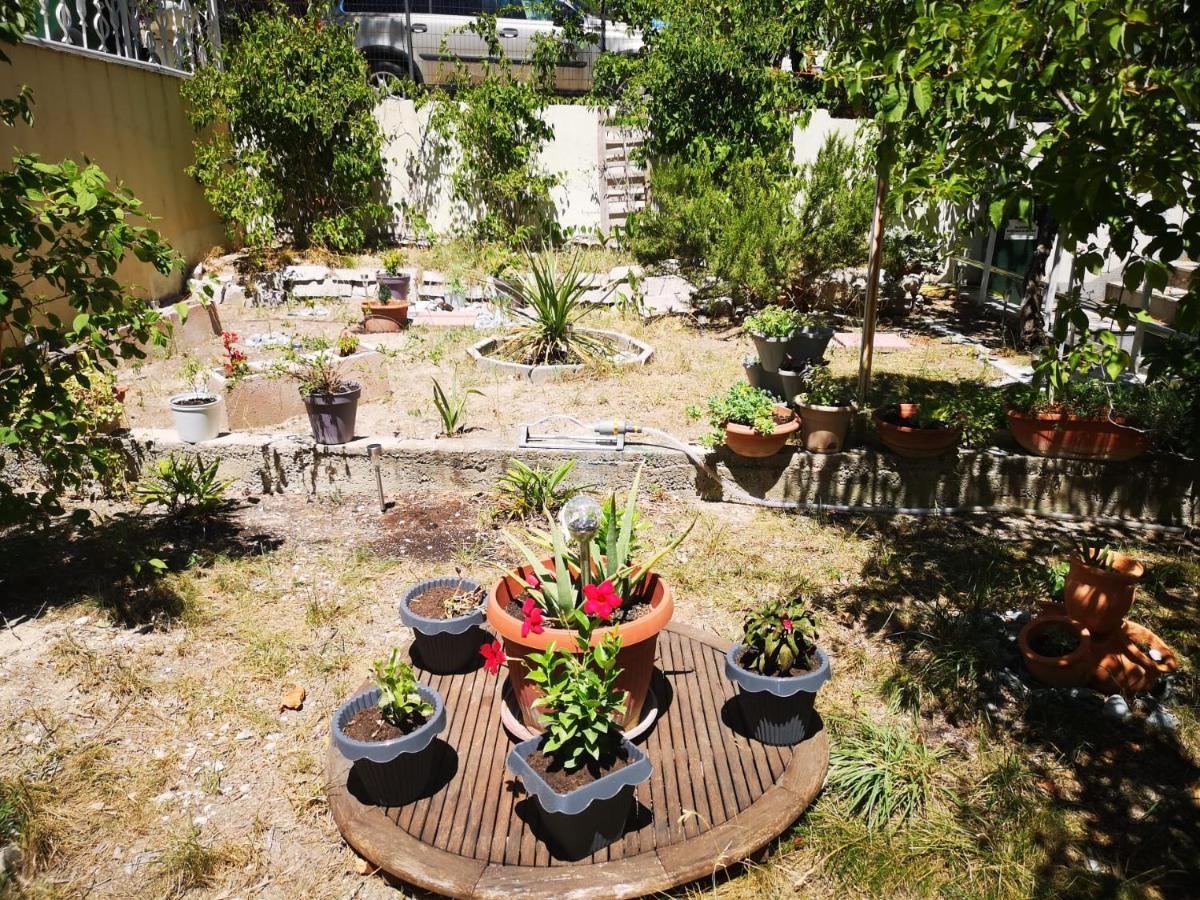 ספליט Apartments Ella מראה חיצוני תמונה